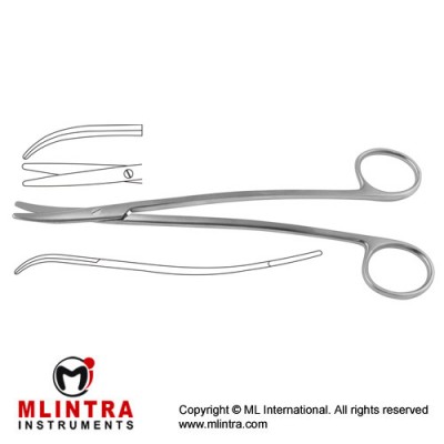 Metzenbaum-Fino Delicate Dissecting Scissor Curved - S Shaped Stainless Steel, 23 cm - 9"